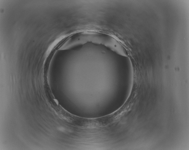 X0000076380200200610161123