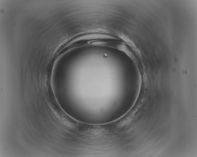 X0000076380201200610161123