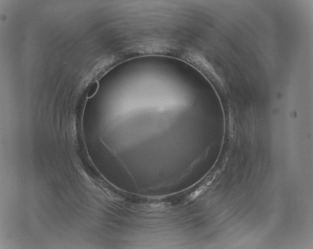 X0000076380202200610161123