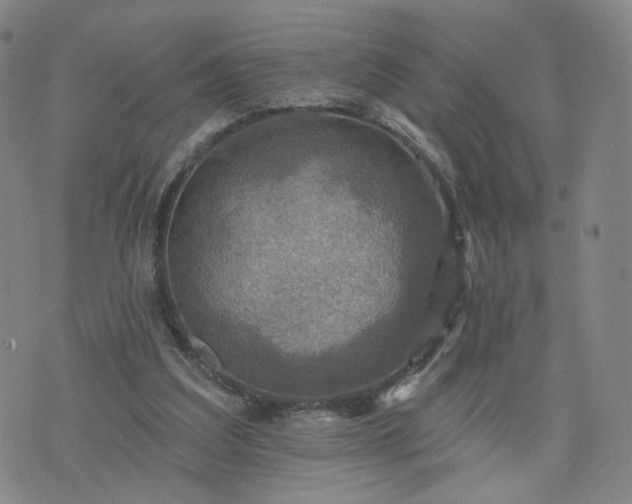 X0000076380203200610161123