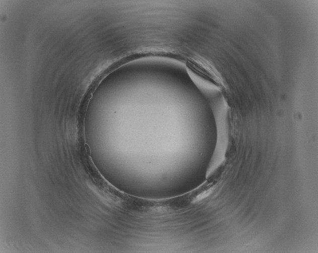 X0000076380204200610161123