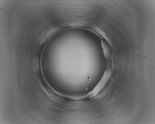 X0000076380205200610161123