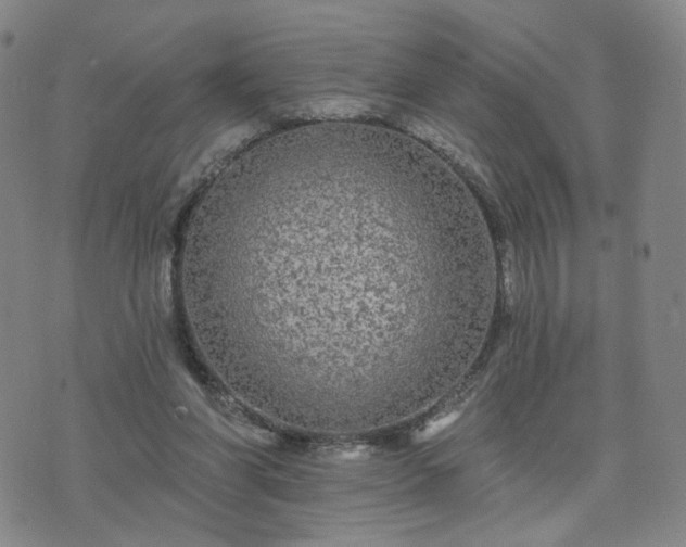 X0000076380206200610161123