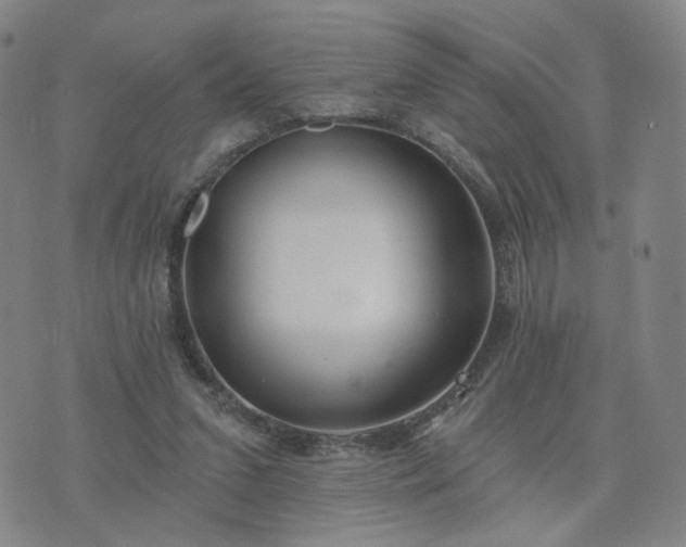 X0000076380207200610161123