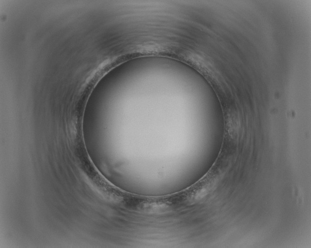 X0000076380208200610161123