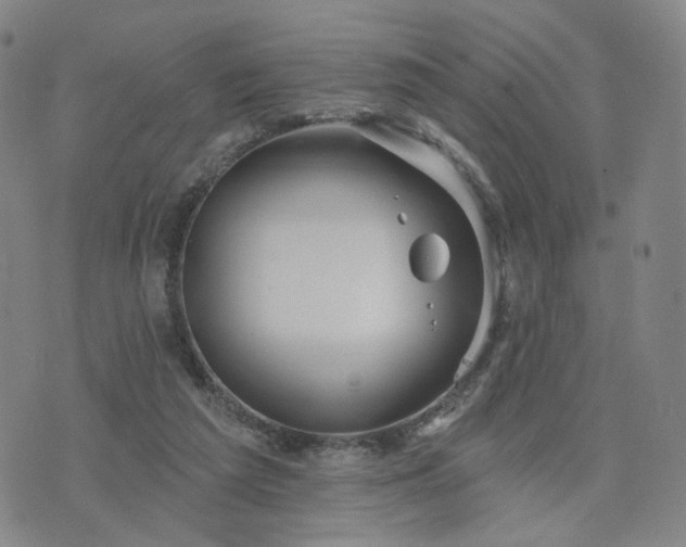 X0000076380209200610161123