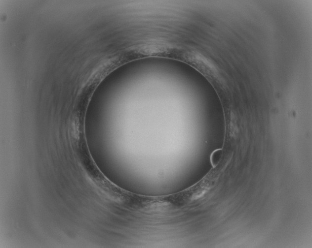 X0000076380210200610161123