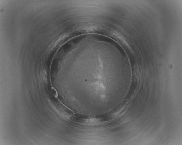 X0000076380212200610161123