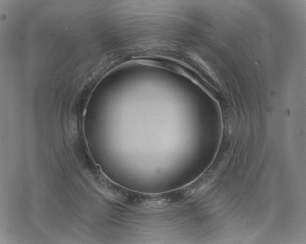 X0000076380213200610161123