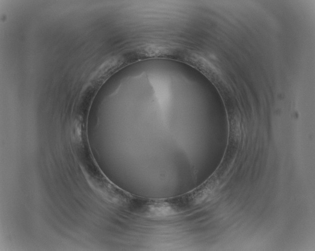 X0000076380214200610161123