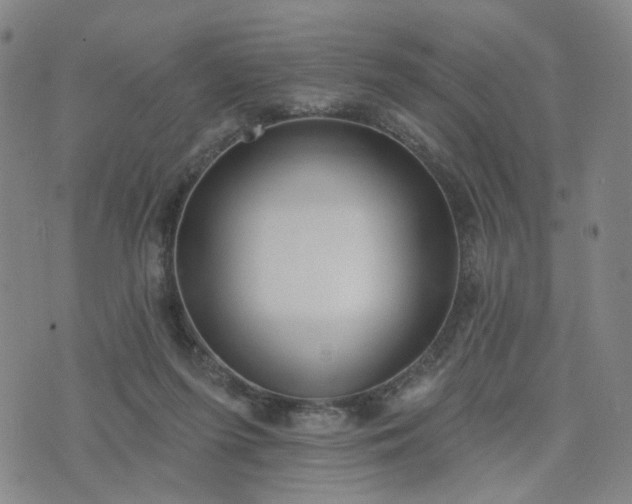 X0000076380215200610161123