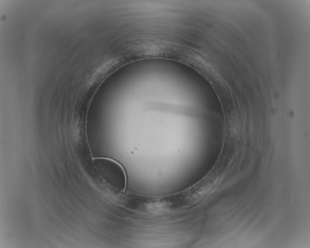 X0000076380216200610161123