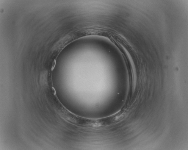 X0000076380217200610161123