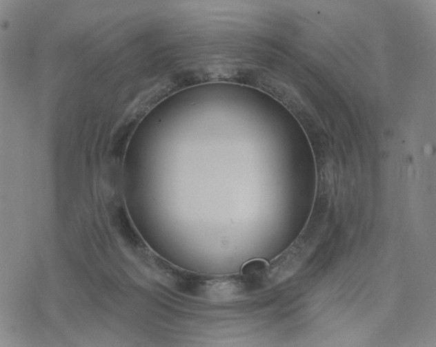 X0000076380218200610161123