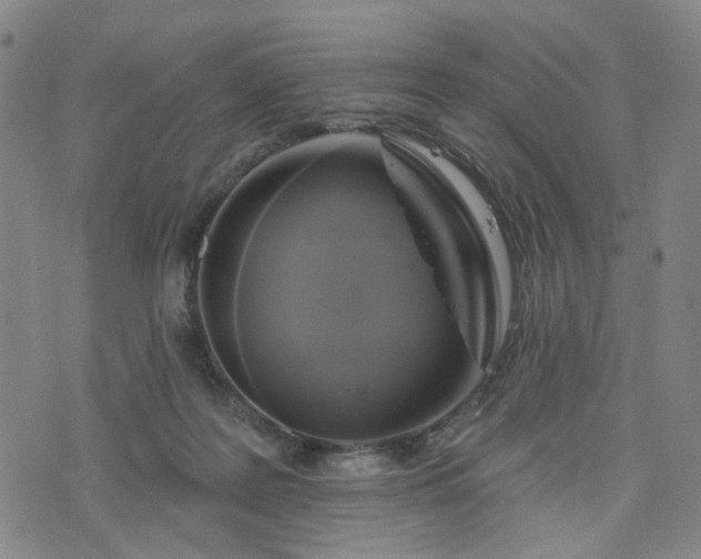 X0000076380219200610161123