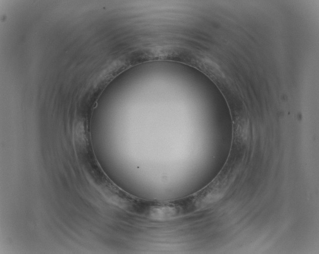 X0000076380220200610161123