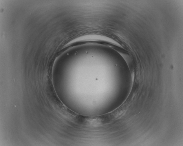 X0000076380221200610161123