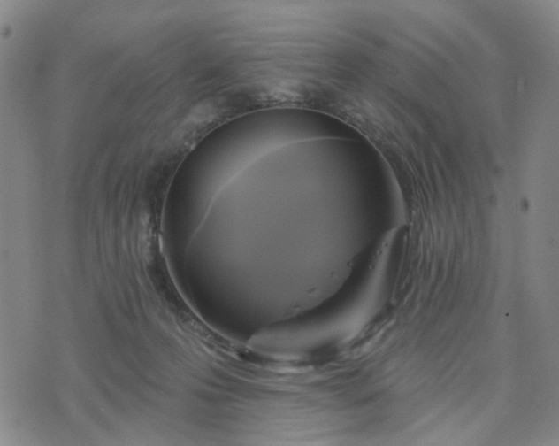 X0000076380223200610161123