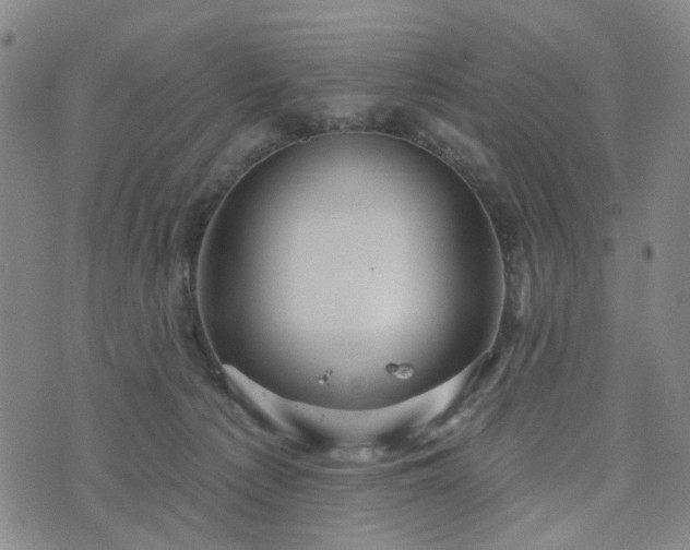 X0000076380225200610161123