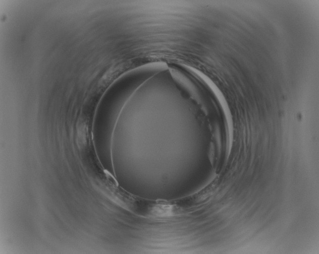 X0000076380227200610161123