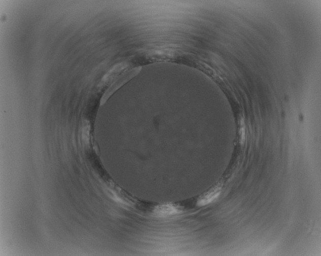 X0000076380231200610161123