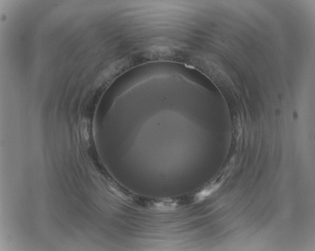 X0000076380232200610161123