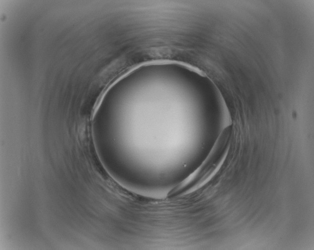 X0000076380233200610161123