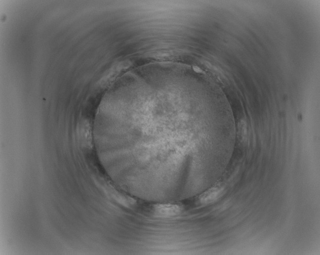 X0000076380234200610161123