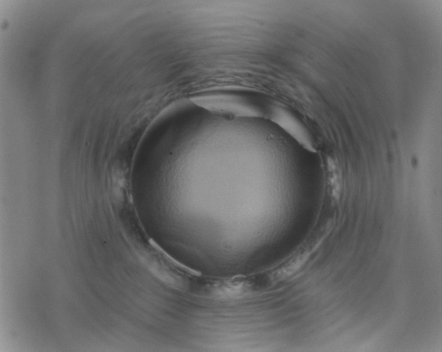 X0000076380235200610161123