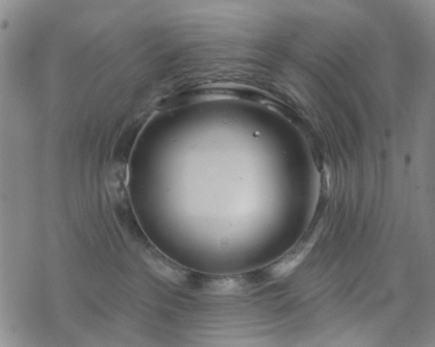 X0000076380237200610161123