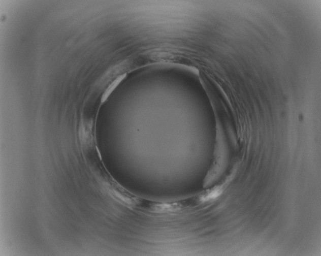 X0000076380239200610161123