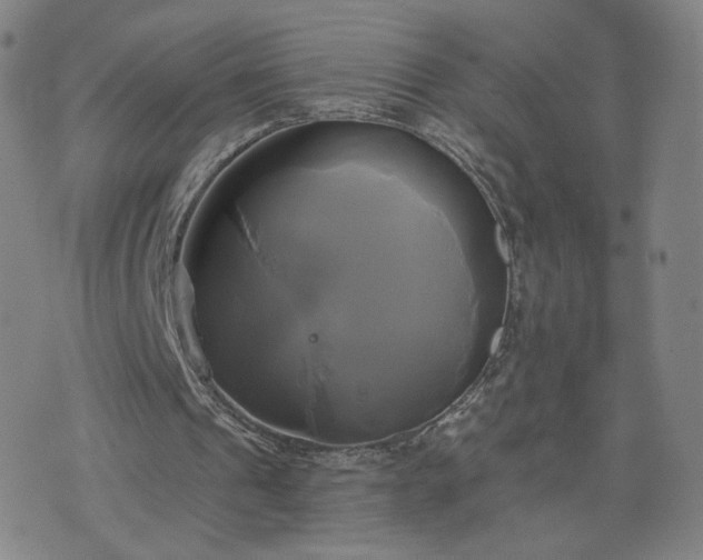 X0000076380241200610161122