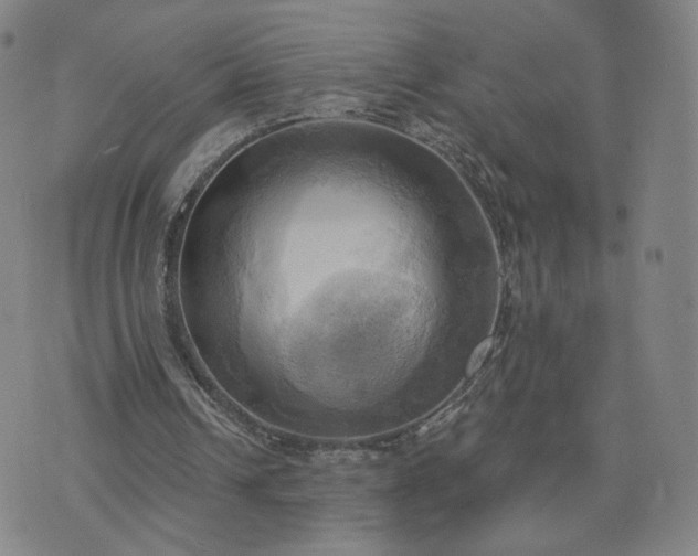 X0000076380242200610161122