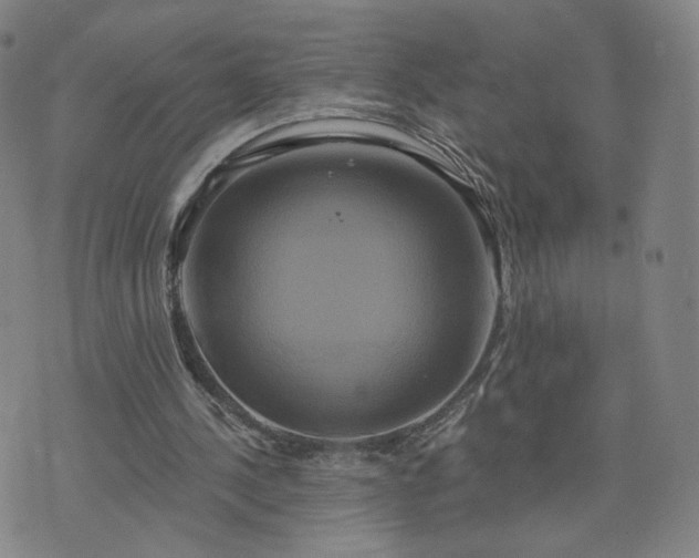 X0000076380244200610161122