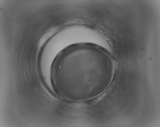 X0000076380245200610161122