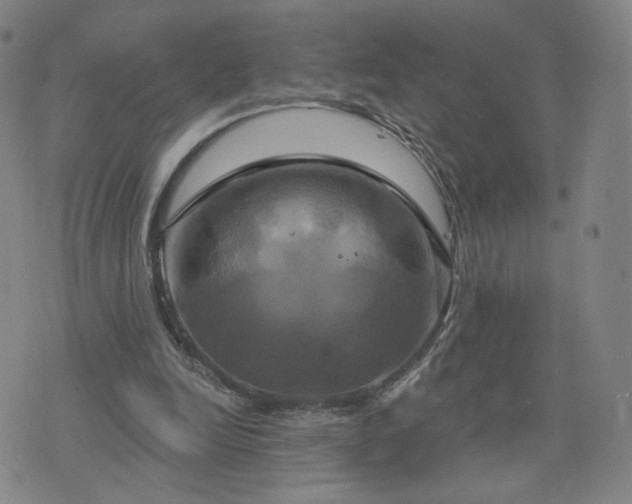 X0000076380246200610161122