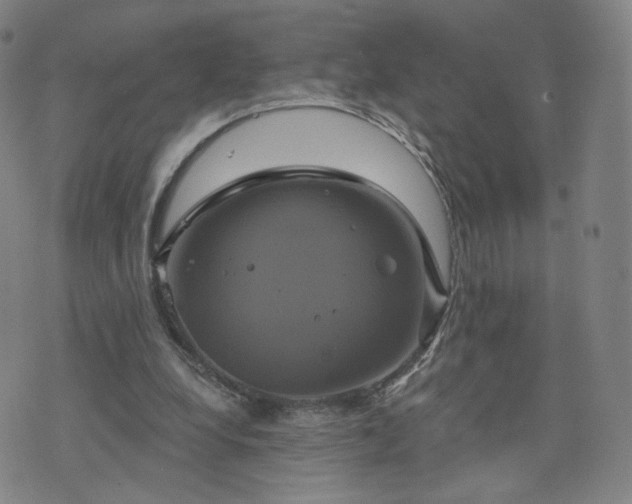 X0000076380248200610161122