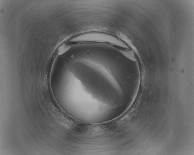 X0000076380249200610161122