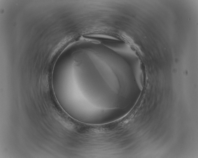 X0000076380250200610161122