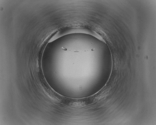 X0000076380251200610161122