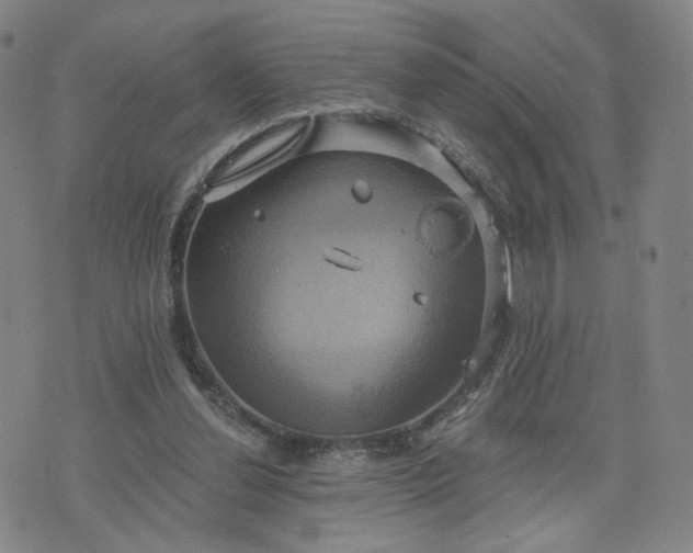 X0000076380252200610161122