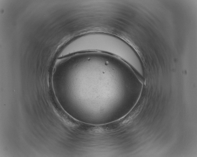 X0000076380253200610161122