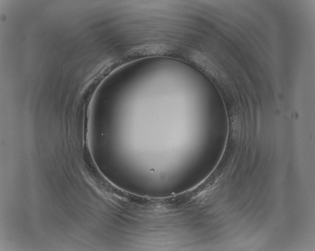 X0000076380254200610161122