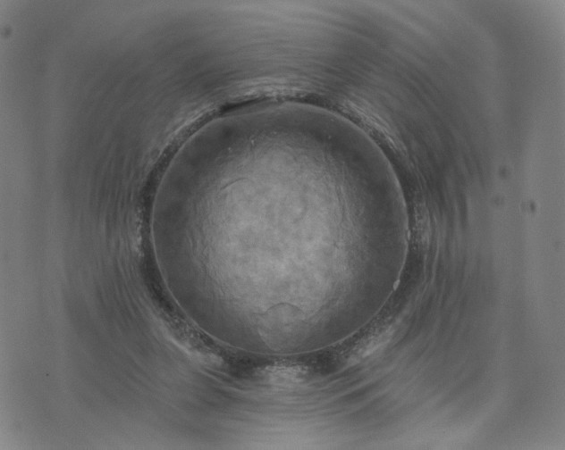 X0000076380255200610161122