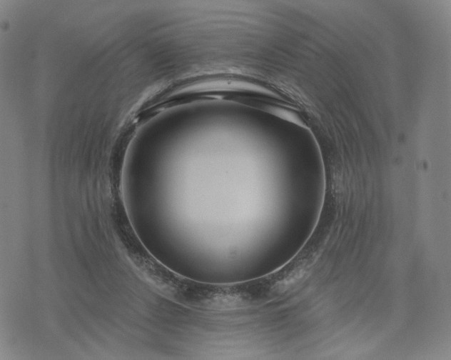 X0000076380256200610161122