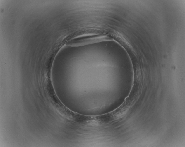 X0000076380259200610161122