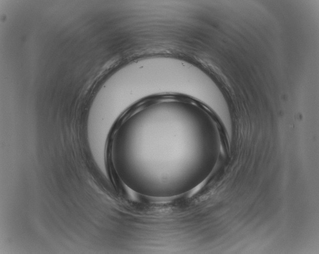 X0000076380260200610161122