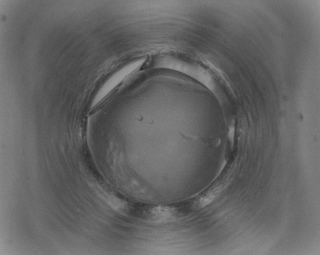 X0000076380261200610161122