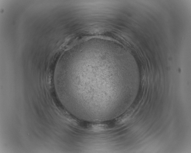 X0000076380268200610161122