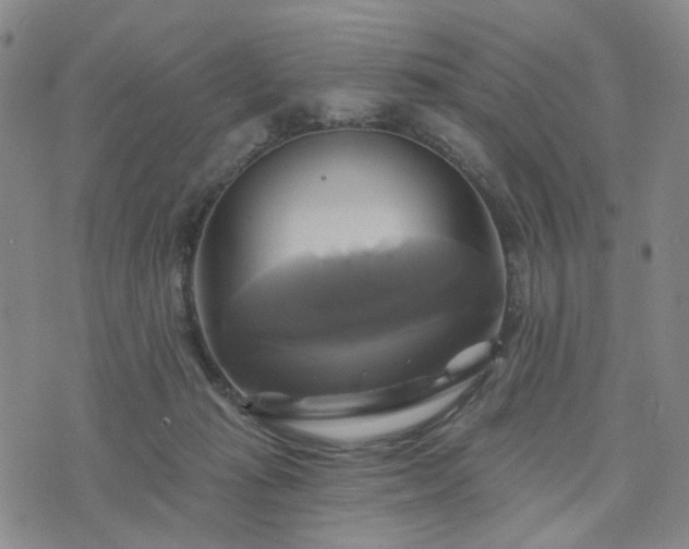 X0000076380269200610161122